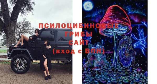 первитин Алексеевка