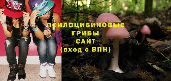 спиды Алексин