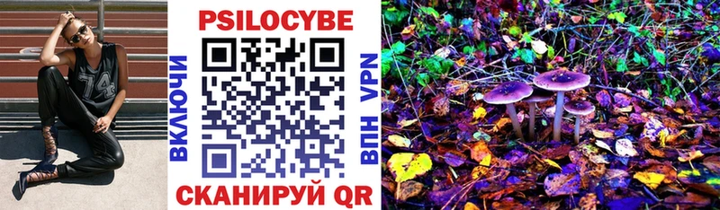 Галлюциногенные грибы Psilocybine cubensis  купить наркотики цена  Кочубеевское 